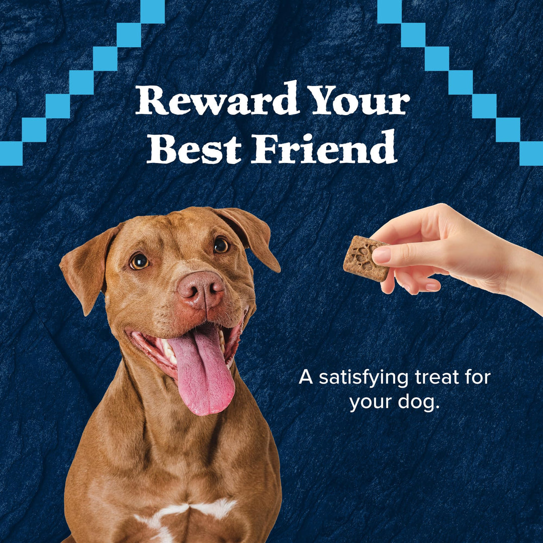 Wilderness Trail Treats High Protein Grain Free Dog Biscuits Crunchy Dog Treats, Salmon Recipe, 10-oz Bag