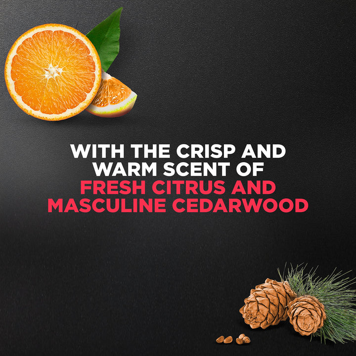 Body and Face Wash Exfoliating Deep Clean Body Wash for Men with 24-Hour Nourishing Micromoisture Technology, 13.5 oz