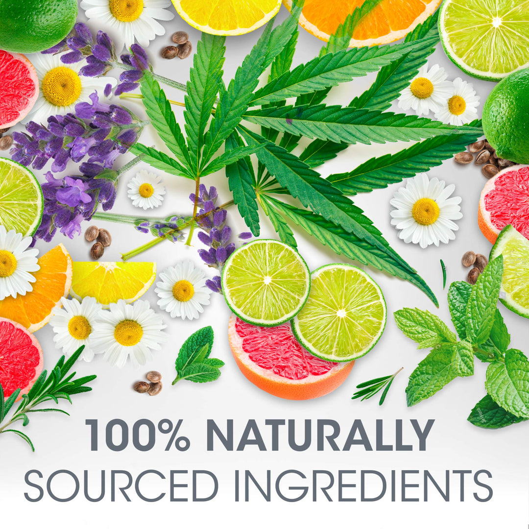 Total Hydration Essential Oils Lip Balm, Happy Orange & Lemon, 0.12 Oz