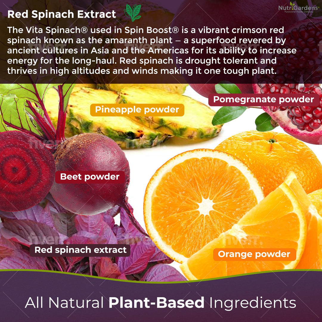 Spin Boost Nitric Oxide Red Spinach Nitrate Pre-Workout Powder Concentrated Super Juice Powder with Beets for Athletic Endurance