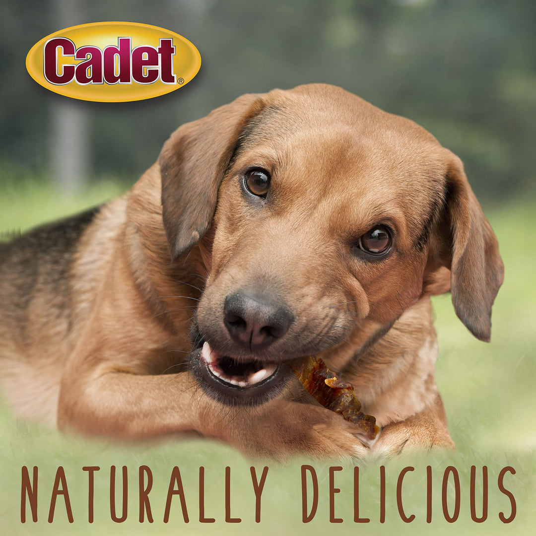 Gourmet Sweet Potato & Chicken Wraps Limited-Ingredient Dog Chews, Healthy and Natural Training Treats for Small and Large Dogs, 28 oz.