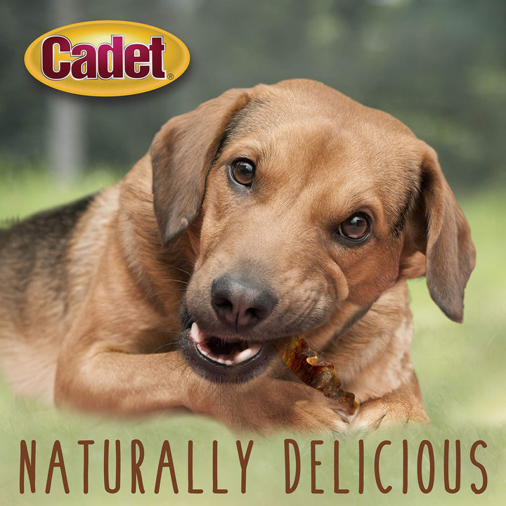 Gourmet Sweet Potato & Chicken Wraps Limited-Ingredient Dog Chews, Healthy and Natural Training Treats for Small and Large Dogs, 28 oz.
