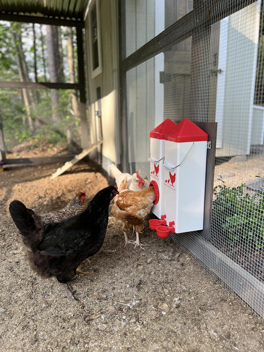 Twin Cup Chicken Waterer and Feeder Set - 10lbs/2 Gal