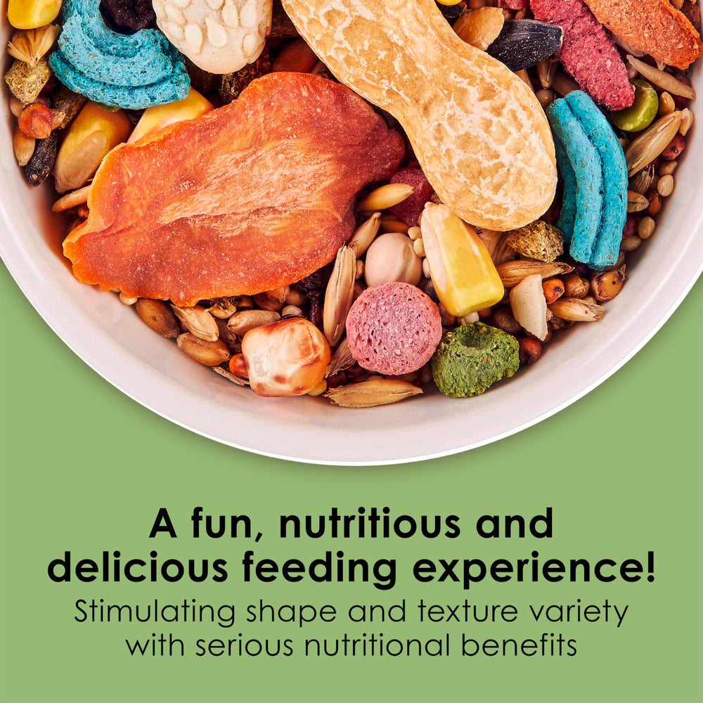 Fiesta Mouse & Rat Food, Nutritious and Fun Blend, Supports Dental Health and Digestion, 2 pounds