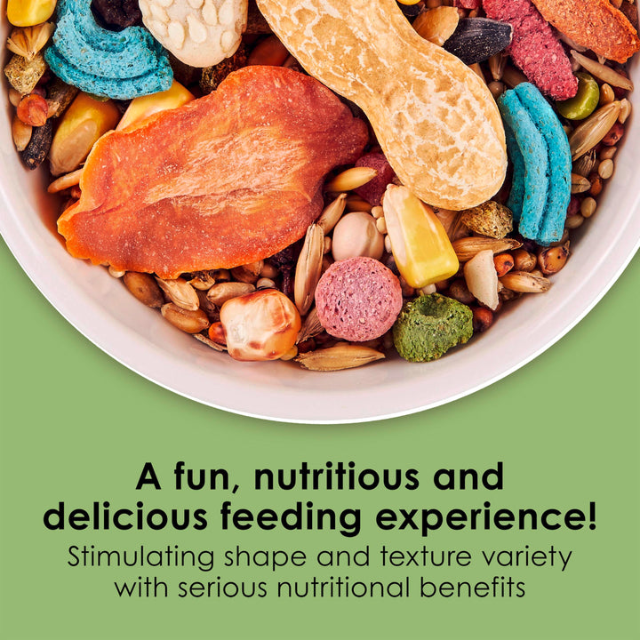 Fiesta Mouse & Rat Food, Nutritious and Fun Blend, Supports Dental Health and Digestion, 2 pounds