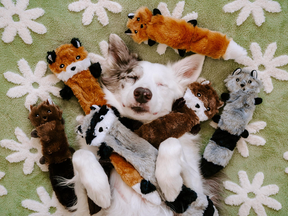 Skinny Peltz - Fox, Raccoon, & Squirrel - No Stuffing Squeaky Dog Toys, Unstuffed Chew Toy for Small & Medium Breeds, Bulk Multi-Pack of 3 Soft Plush Toys, Flat No Stuffing Puppy Toys - 11