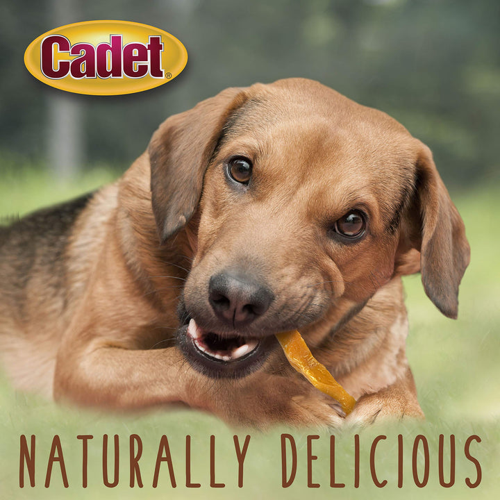 Gourmet Sweet Potato Steak Fries, Healthy Natural Chewy Dog Treats, Single-Ingredient, for Small & Large Dogs, 1 Pound