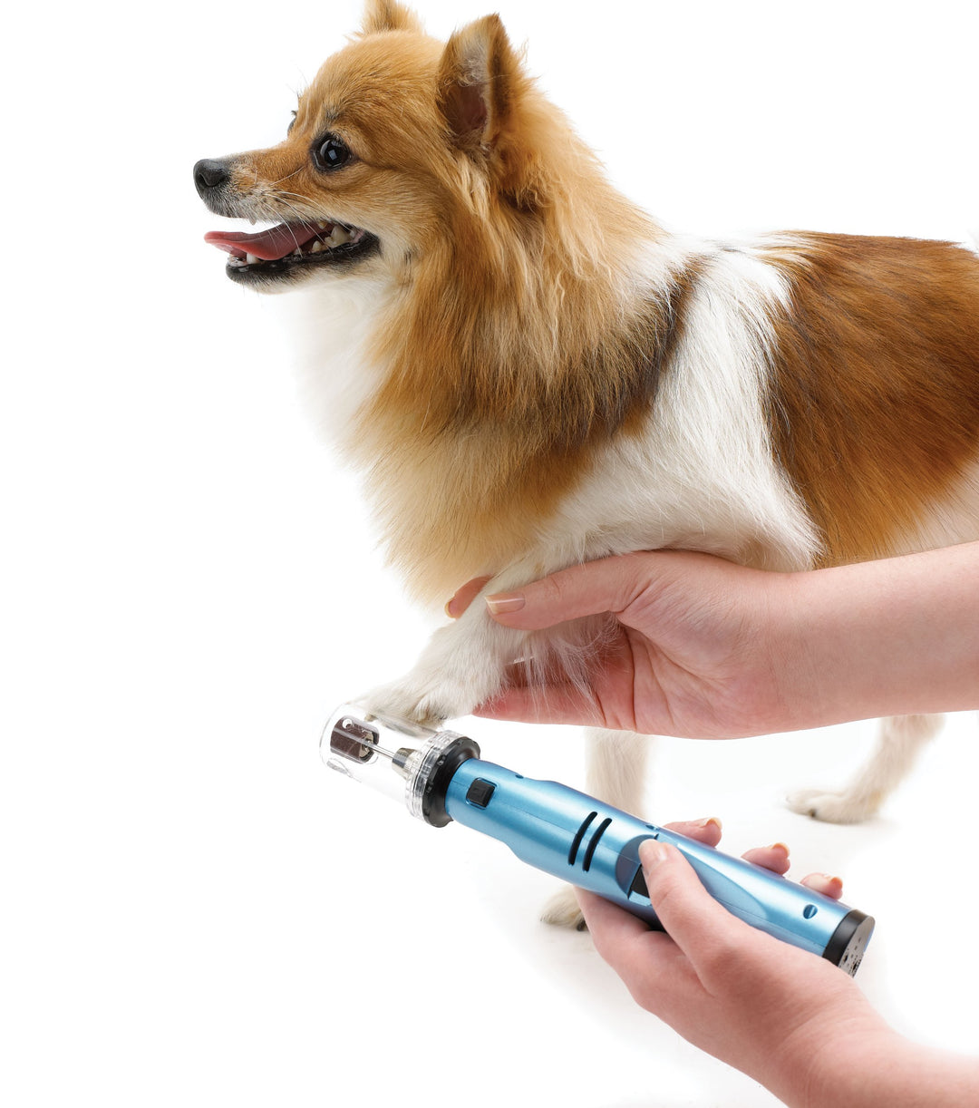 Gentle Paws Less Stress Dog and Cat Nail Grinder, 2 Speed (078129-600-000)