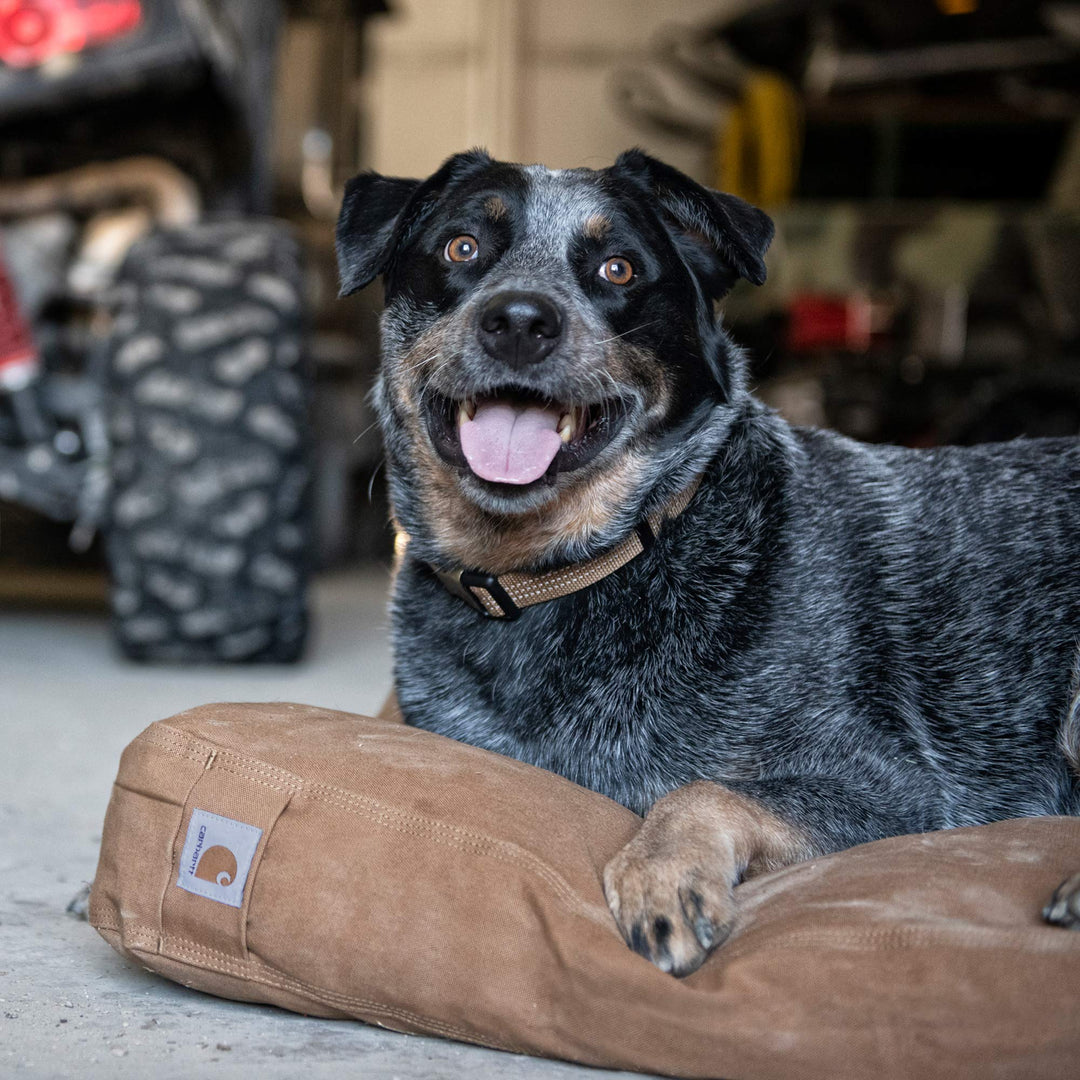 Firm Duck Dog Bed Brown, Medium