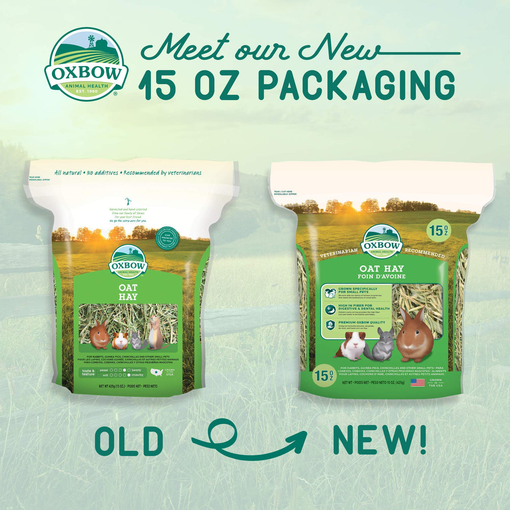 Animal Health Oat Hay - All Natural Hay for Rabbits, Guinea Pigs, Chinchillas, Hamsters & Gerbils - 15 oz.