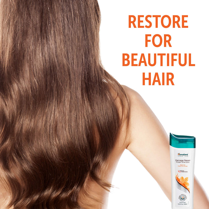 Damage Repair Protein Shampoo for Dry, Frizzy Hair, 13.53 Ounce