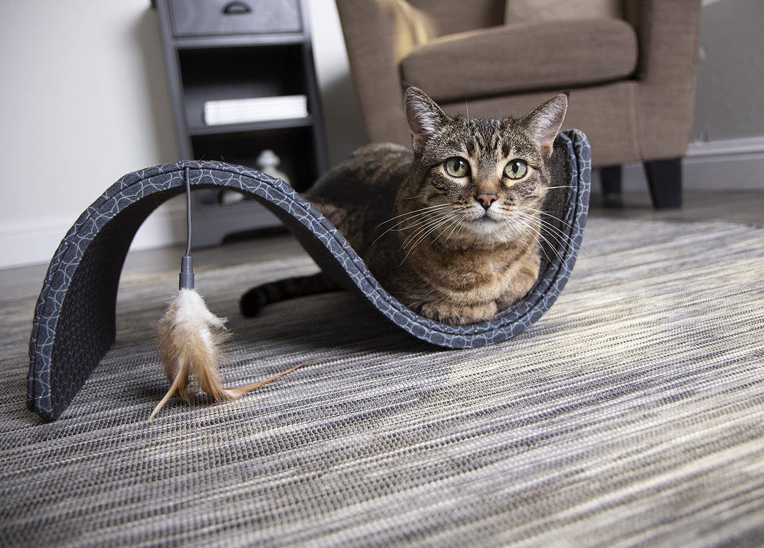 Scratch Scroll Sisal & Carpet Cat Scratcher with Feather Toy - Gray, Single Wide
