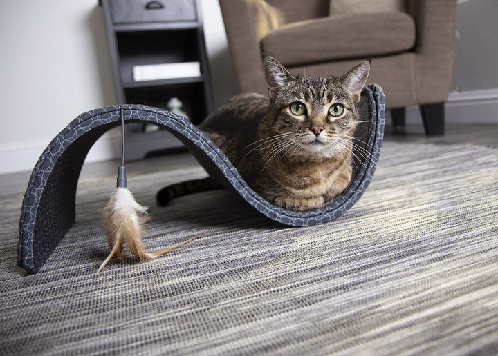 Scratch Scroll Sisal & Carpet Cat Scratcher with Feather Toy - Gray, Single Wide
