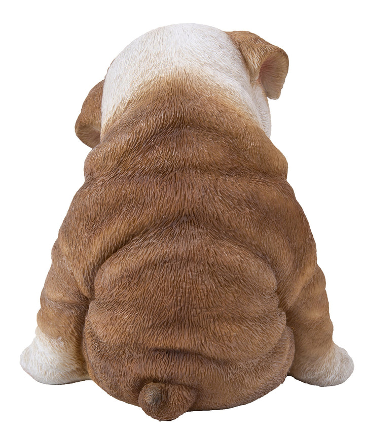 Sitting Sleepy Bulldog Puppy
