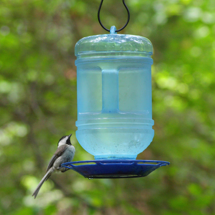 780 Outdoor Hanging Water Cooler Bird Waterer and Dispenser,Blue, 1.5 Qt Capacity
