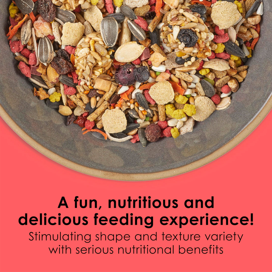 Fiesta Cockatiel Food, Nutritious and Fun Blend, Supports Skin, Feather, Digestion, Brain and Heart Health, 4.5 pounds