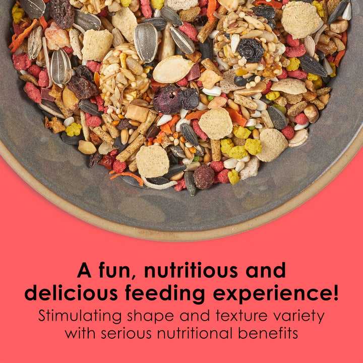 Fiesta Cockatiel Food, Nutritious and Fun Blend, Supports Skin, Feather, Digestion, Brain and Heart Health, 4.5 pounds