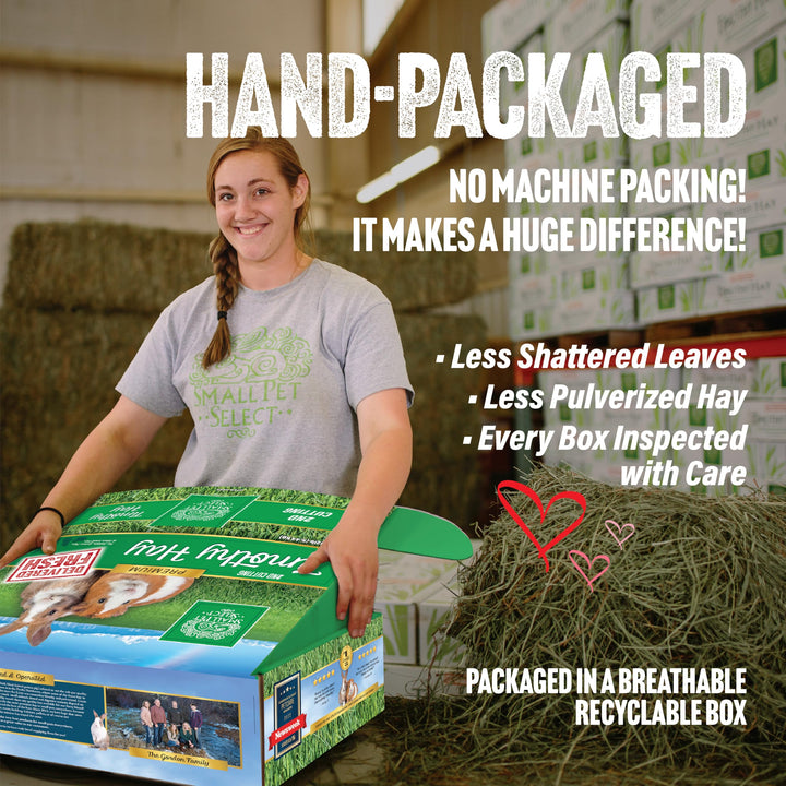 2nd Cutting Perfect Blend Timothy Hay Pet Food for Rabbits, Guinea Pigs, Chinchillas and Other Small Animals, Premium Natural Hay Grown in The US, 25 LB