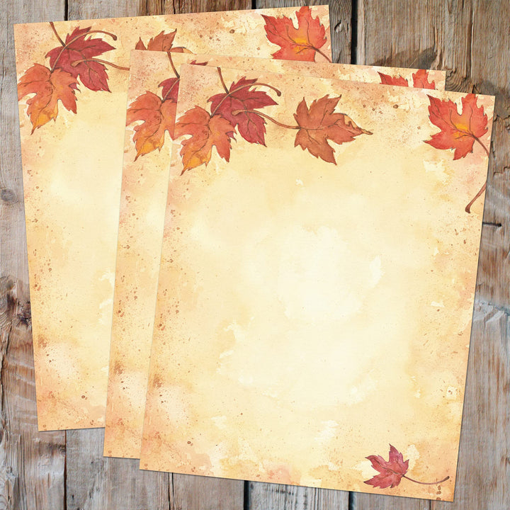 Fall Leaves Letterhead, 25 count, 11x8.5 (2015055)