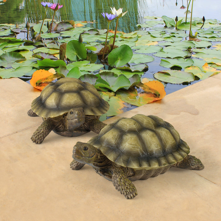 Gilbert The Box Turtle Garden Decor Animal Statue, 9 Inch, Set of Two, Polyresin, Full Color