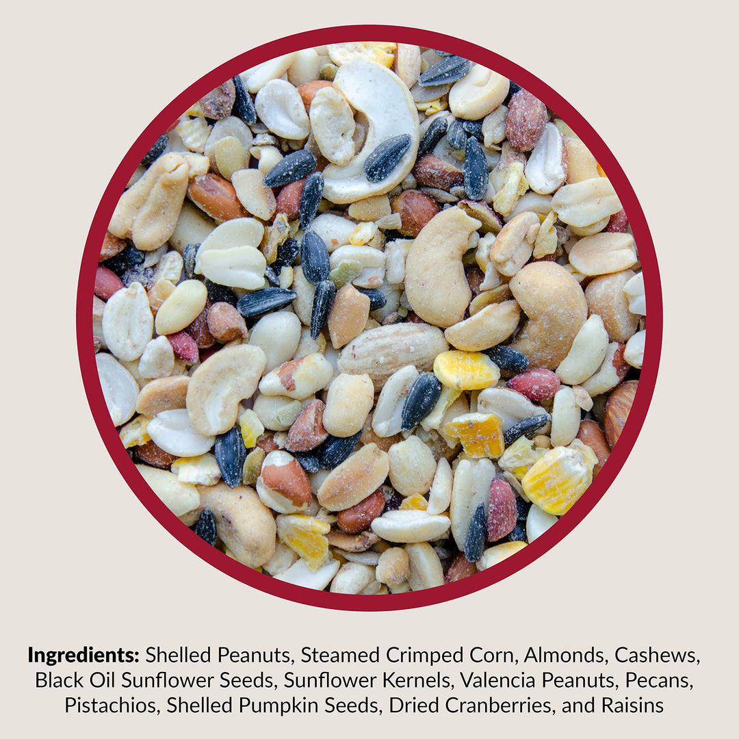 Fruit and Nut Wild Bird Seed - High Energy Wild Bird Food Mix - Attracts Woodpeckers, Chickadees & Other Songbirds - 20 lb bag