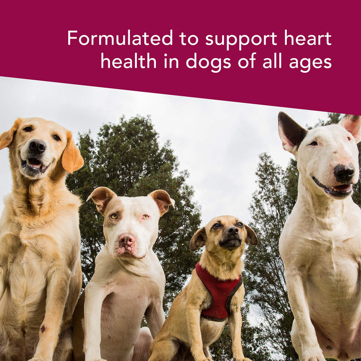 VetriScience Extra Strength Healthy Heart Chews, Vetri Cardio Taurine and CoQ10 Supplement for Dogs, Heart Support Supplement, Chicken, 60 Count