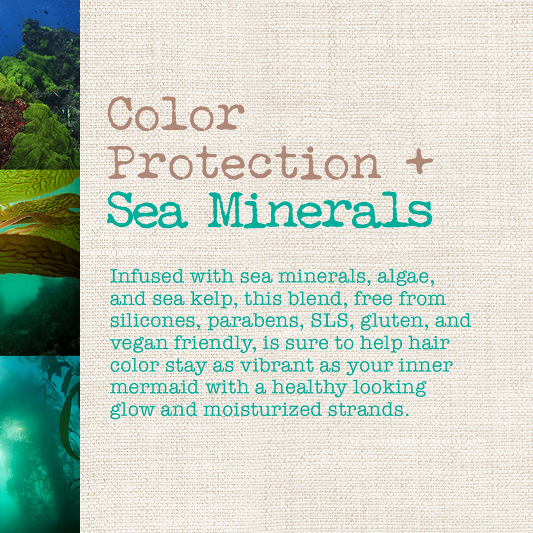 Color Protection + Sea Minerals Shampoo, Protect -Treated Tresses with Rich, Pure Algae, and Sea Kelp, Non-GMO, 13 Fl Oz