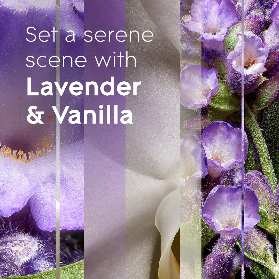 Plugins Scented Oil Air Freshener, Lavender and Vanilla, 3 count, 2. 01 Fluid Ounce