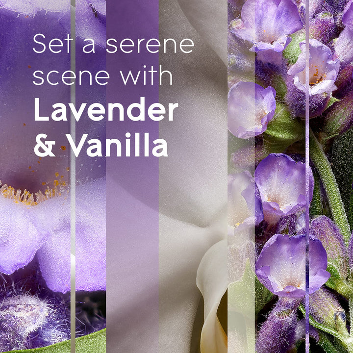 PlugIns Refills Air Freshener, Scented and Essential Oils for Home and Bathroom, Lavender & Vanilla, 3.35 Fl Oz, 5 Count