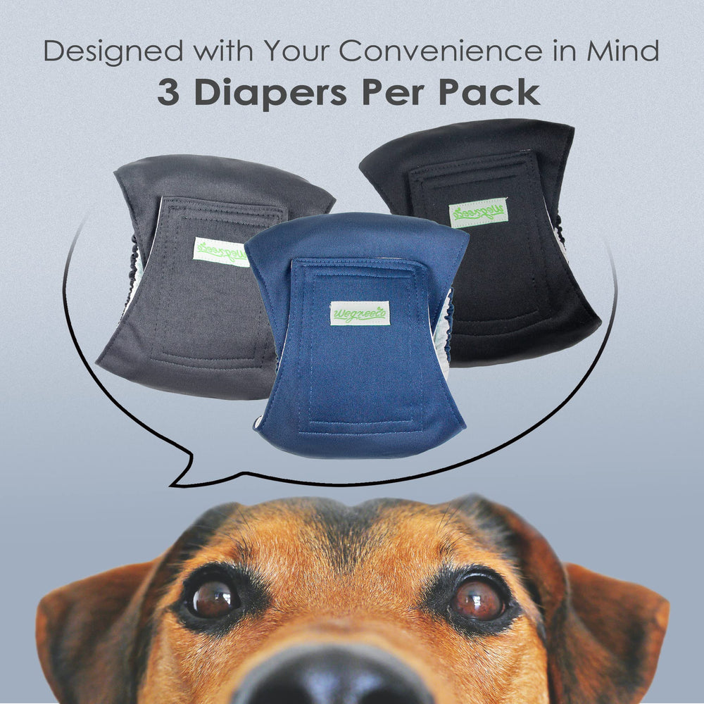 Washable Dog Diapers - Washable Male Dog Belly Wrap - Pack of 3 - (Black, Charcoal, Navy, Medium)
