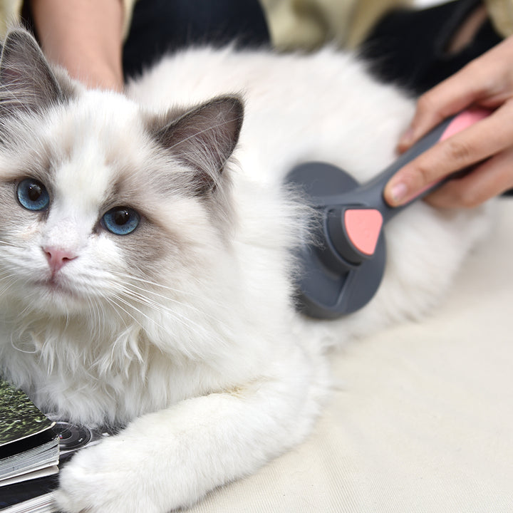 Cat Dog Self Cleaning Brush,Cat Grooming Brush
