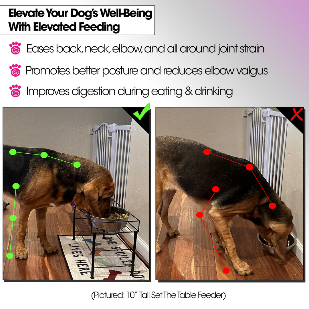 PetRageous 81032 Brady's Set the Table Steel Frame Dog Feeder 10-Inch Tall by 20-Inch Long and 10-Inch Wide, Holds Two 9-Inch Diameter Bowls, for Large Dogs and Extra Large Dogs, Black