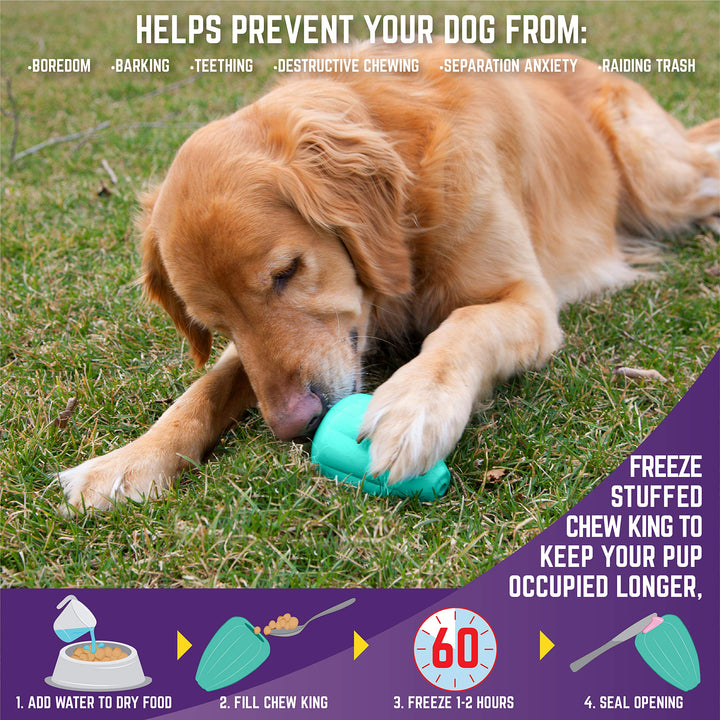 Premium Treat Dog Toy, L, Extremely Durable Natural Rubber Toy, (Pack of 2) ,All Breed Sizes