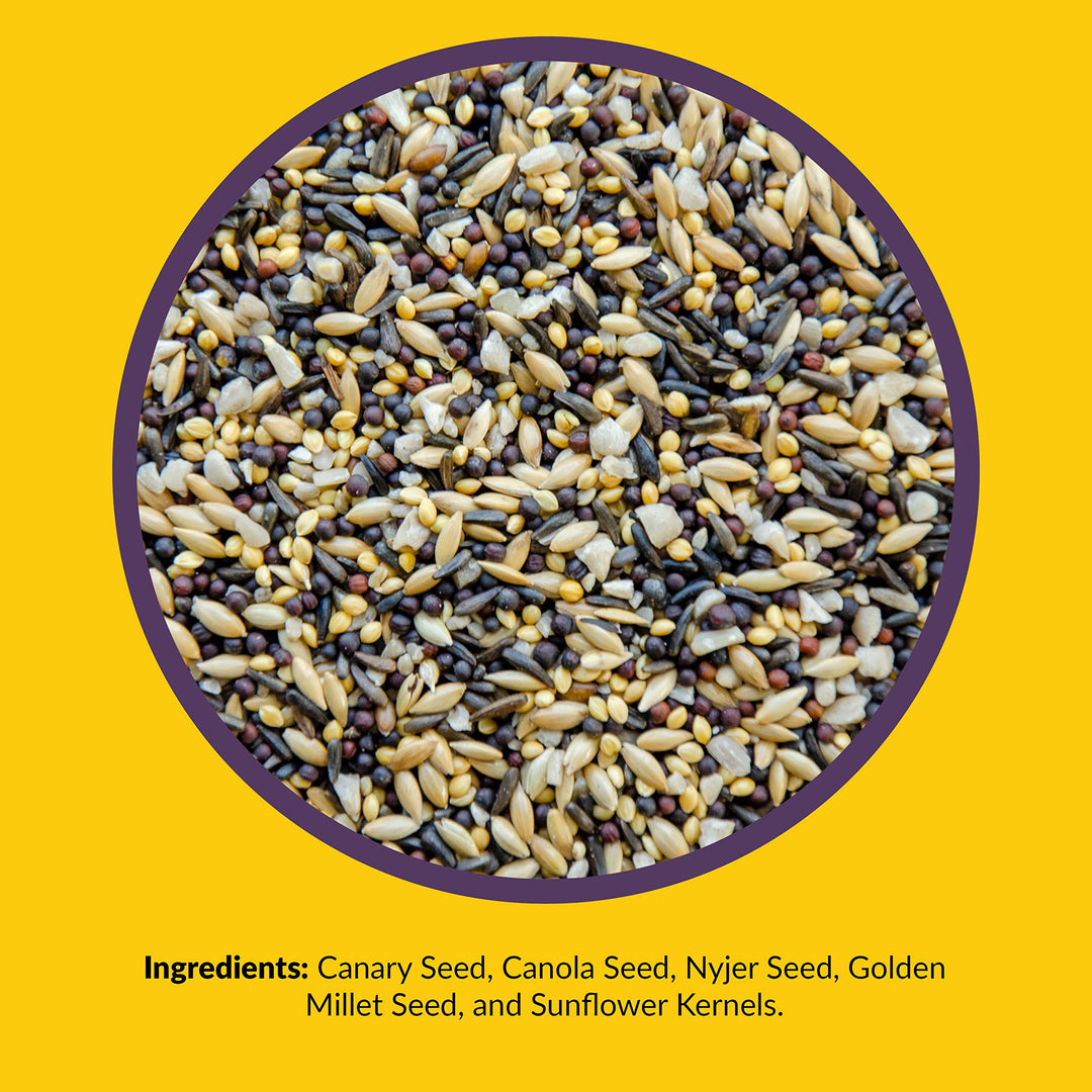 Finch - Small Songbird Wild Bird Seed - Attracts Goldfinches, House Finches, Purple Finches & More - 5 lb. Bag