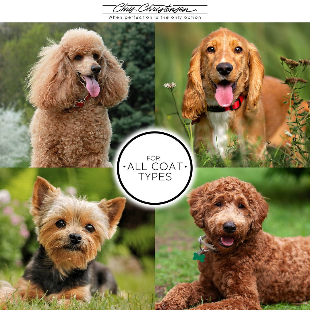 Dog Brush, 27 mm Oval Pin Brush, Original Series, Groom Like a Professional, Stainless Steel Pins, Lightweight Beech Wood Body, Ground and Polished Tips