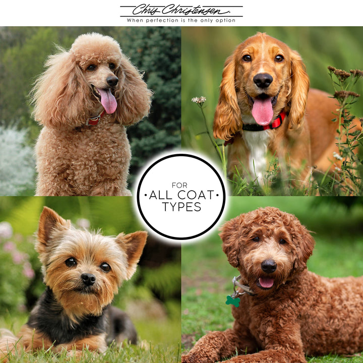 Dog Brush, 27 mm Oval Pin Brush, Original Series, Groom Like a Professional, Stainless Steel Pins, Lightweight Beech Wood Body, Ground and Polished Tips