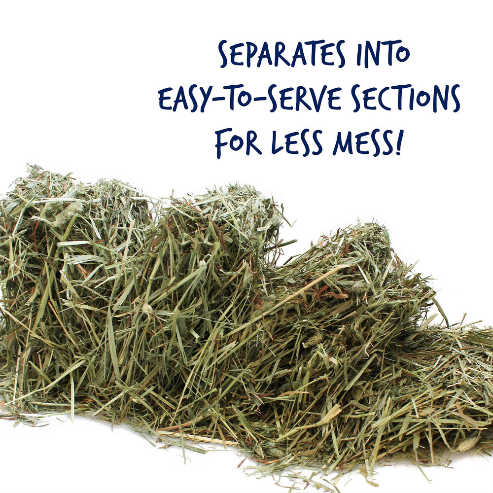 Small Animal Timothy Hay for Guinea Pigs, Rabbits, and Chinchillas - 3.5 lbs