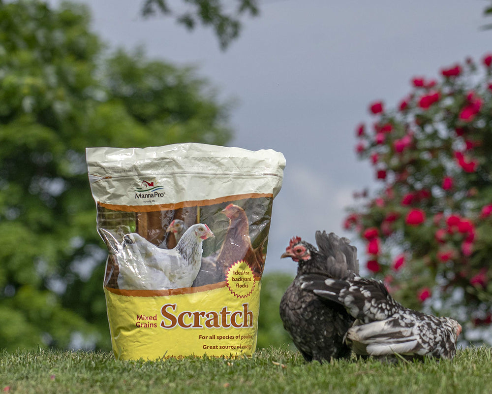 Ultimate Scratch Grains for Chickens | Rich in nutrients | 10 LB