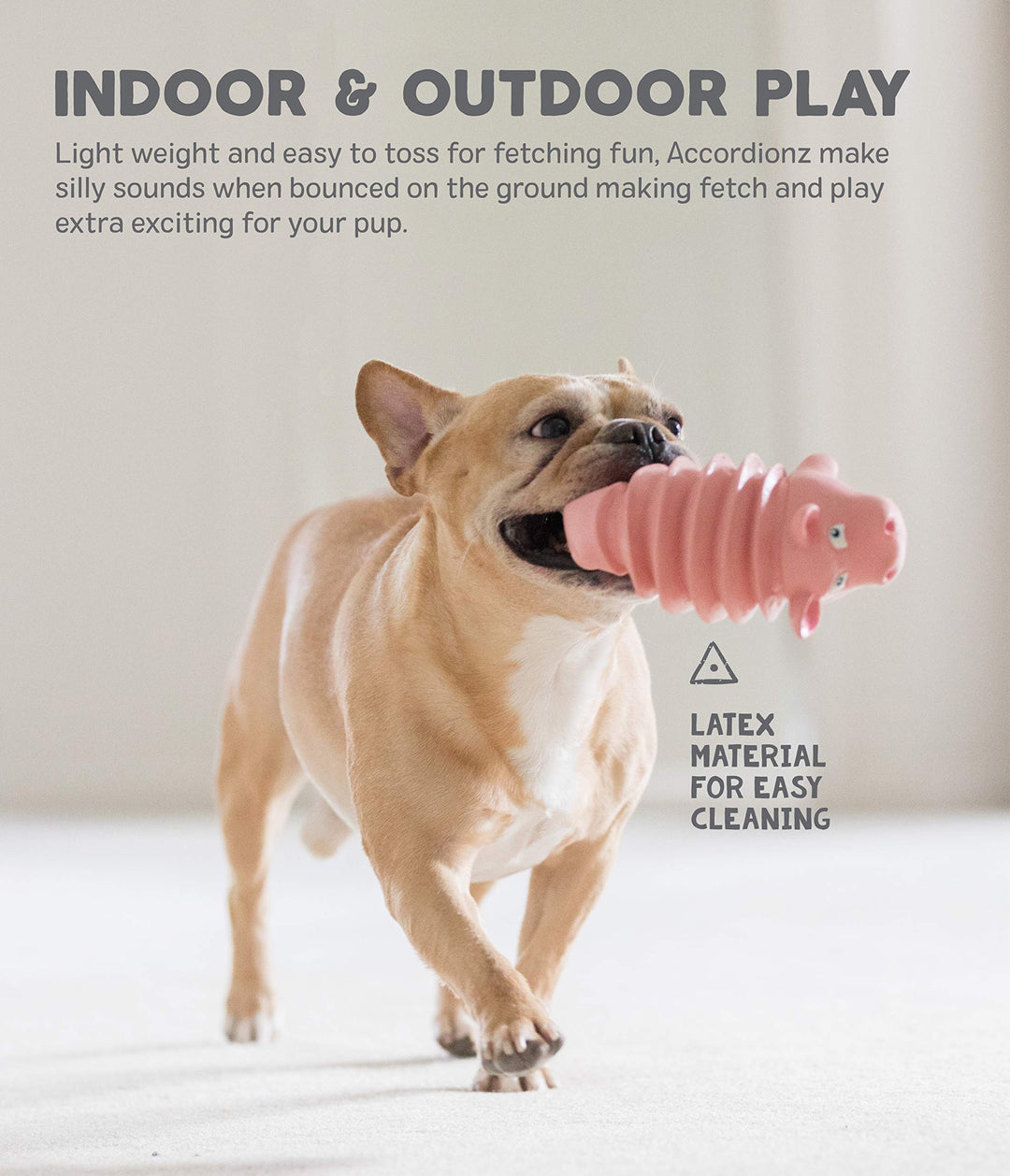 Accordionz Latex Rubber Squeaking Toy - Squeaky and Grunting Dog Toy, Alligator