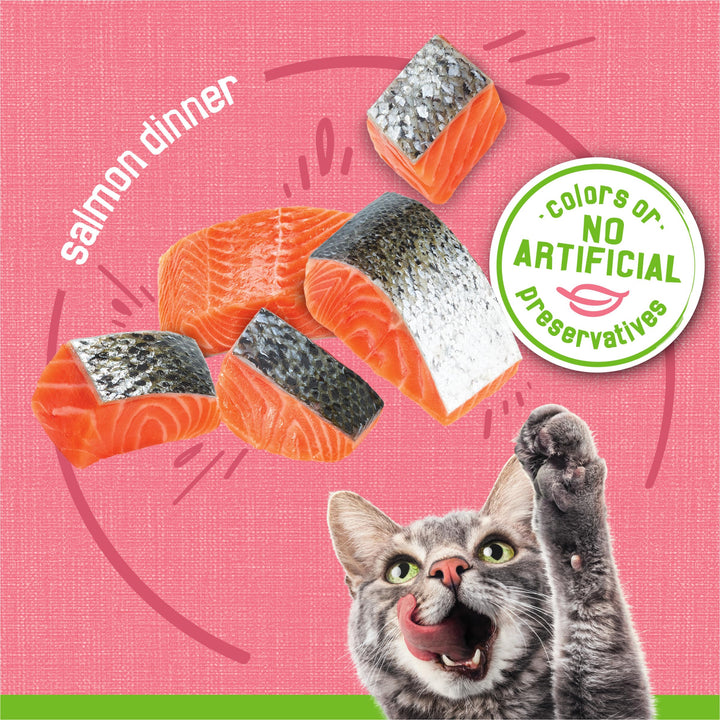 Purina Wet Cat Food Pate, Pate Salmon Dinner - (Pack of 24) 5.5 oz. Cans