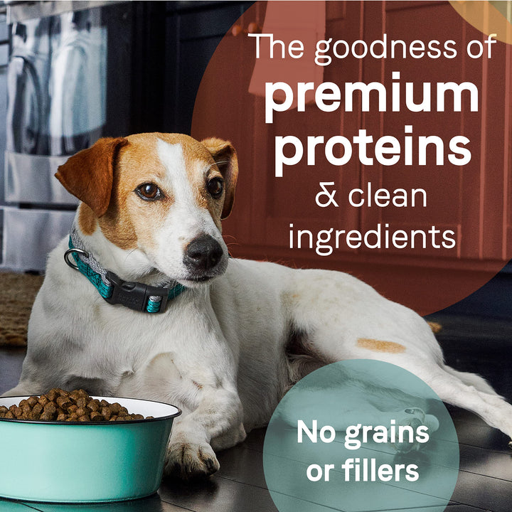 Canidae Pure Real Salmon & Sweet Potato Recipe Adult Dry Dog 22 LB