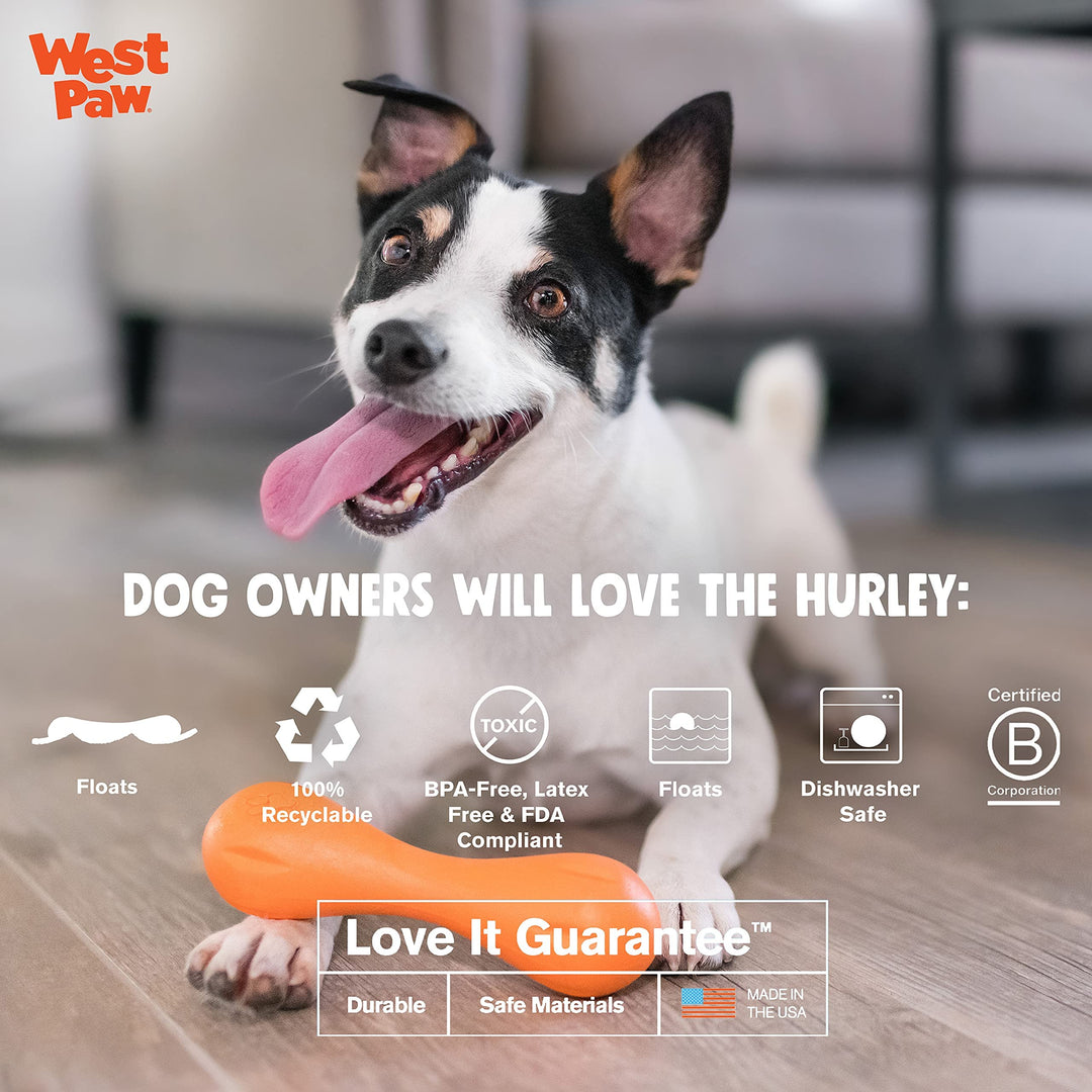 Zogoflex Hurley Dog Bone Chew Toy – Floatable Pet Toys for Aggressive Chewers, Catch, Fetch – Bright-Colored Bones for Dogs – Recyclable, Dishwasher-Safe, Non-Toxic, Large, Aqua