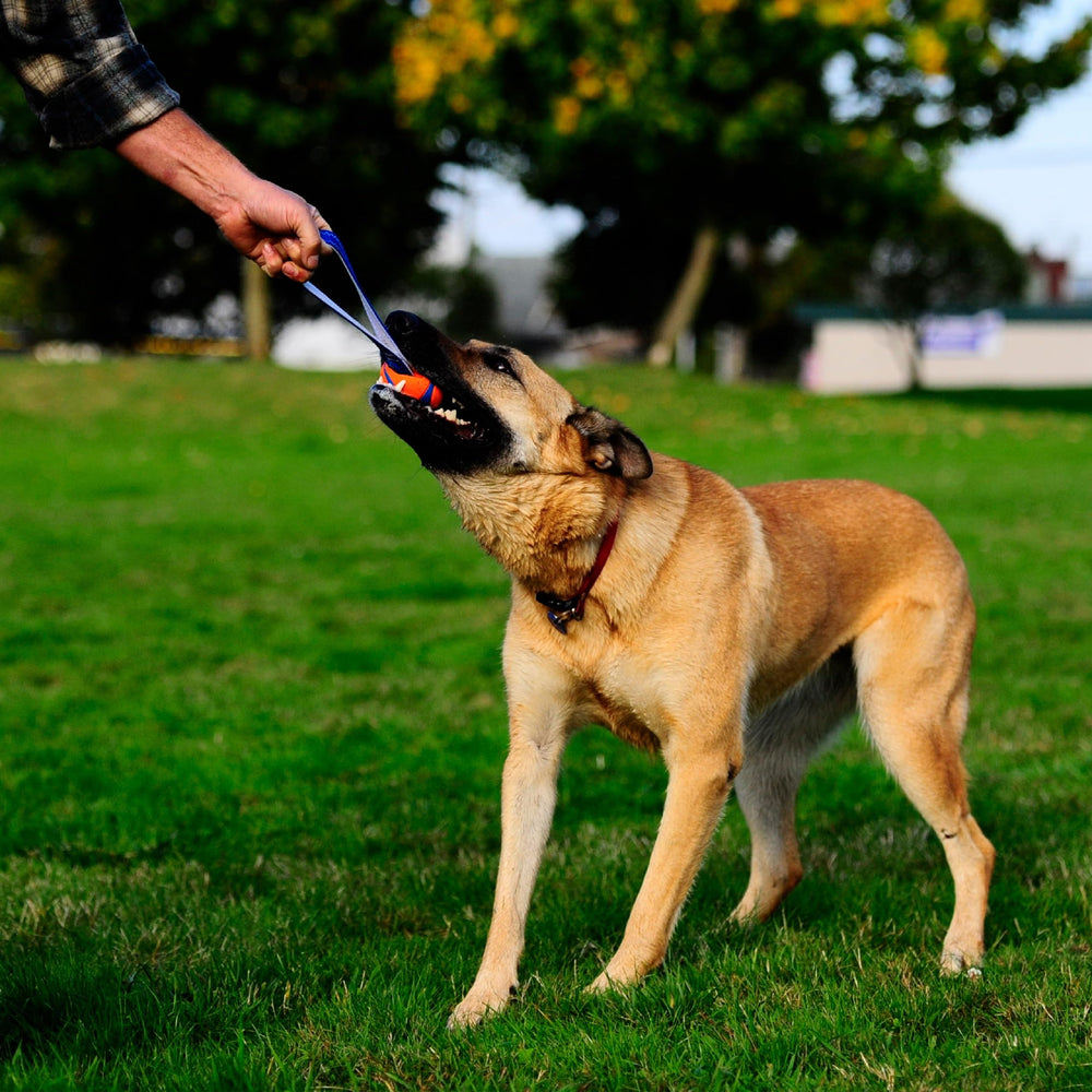 Ultra Tug Dog Toy, Medium Fetch and Dog Ball Tug Toy for Dogs 20-60 Pounds