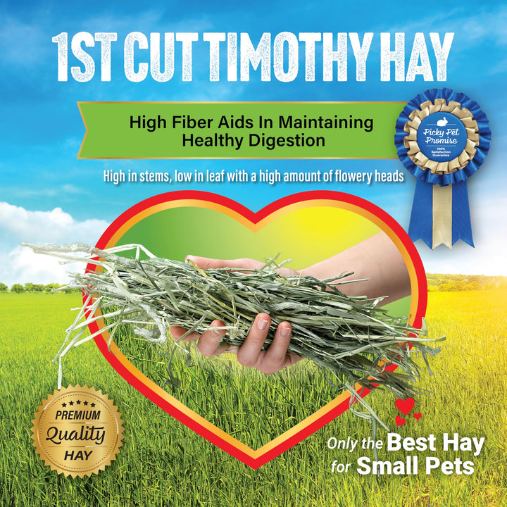 1st Cut Timothy Hay Pet Food for Rabbits, Guinea Pigs, and other Small Animals, Easy to Store Box, 20 LB