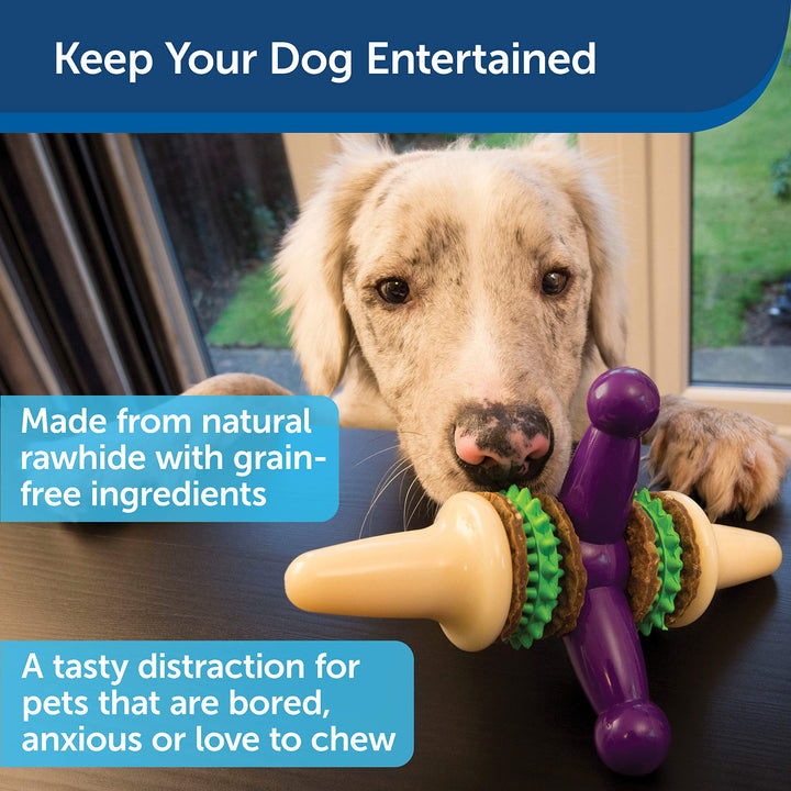 Busy Buddy Jack - Treat Holding Dog Chew Toys - Helps Clean Teeth - Vanilla Scented Rubber for Strong Chewers - Treat Refills Included, Interactive Dog Toy Helps Keep Dogs Busy, Purple, Medium