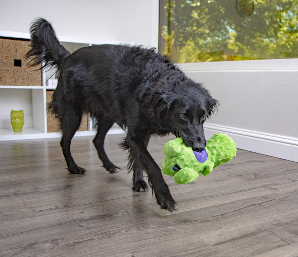 Dinos T-Rex Squeaky Plush Dog Toy, Chew Guard Technology - Green, Large