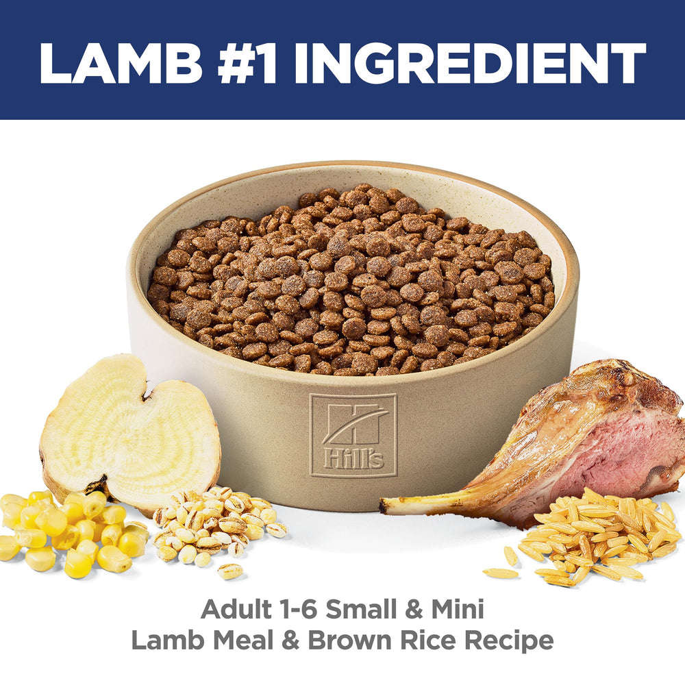 Small & Mini, Adult 1-6, Small & Mini Breeds Premium Nutrition, Dry Dog Food, Lamb & Brown Rice, 4.5 lb Bag