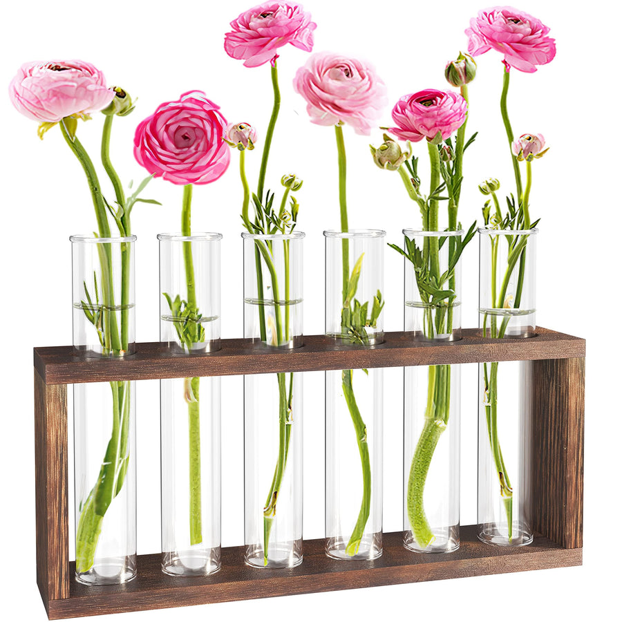 Plant Terrarium with Wooden Stand, Desktop/Wall Hanging Live Plant Propagation Station Planters Glass Tubes Hydroponic Vase Air Planter Holder for Indoor Office Home Garden Decor (6 Test Tubes)