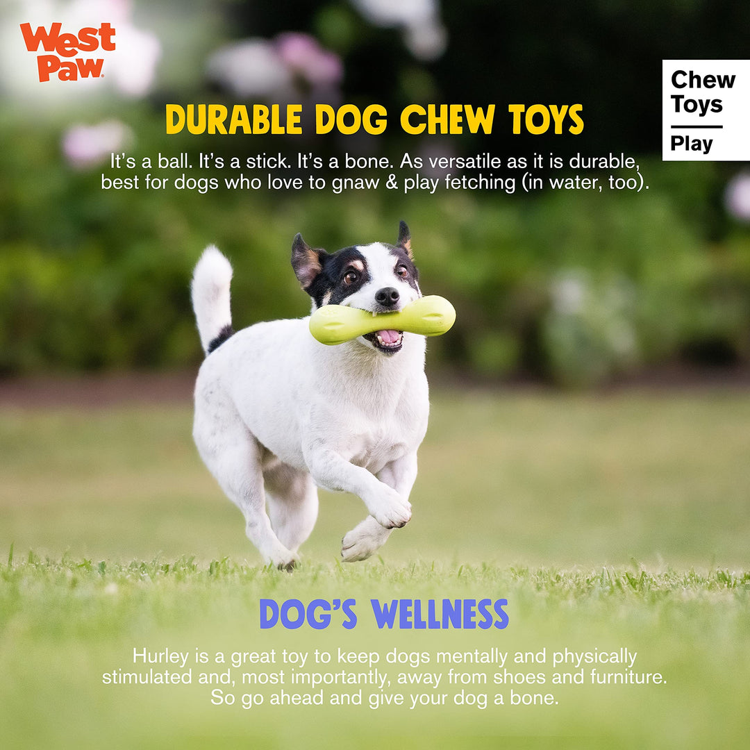 Zogoflex Hurley Dog Bone Chew Toy – Floatable Pet Toys for Aggressive Chewers, Catch, Fetch – Bright-Colored Bones for Dogs – Recyclable, Dishwasher-Safe, Non-Toxic, Large, Granny Smith