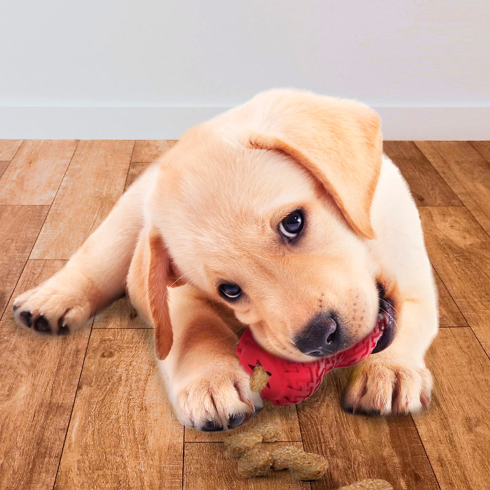 Dog Tire Feeder Dog Toy, Lightweight, Durable and Water Resistant, 4 Inches, for Medium/Large Breeds, Single Unit, Red